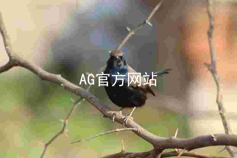 AG官方网站